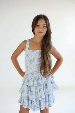 Blue Bow Toile Dress