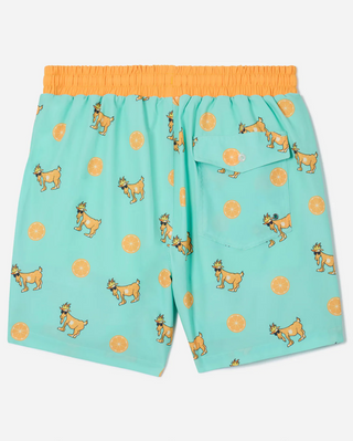 GOAT Swim Trunks